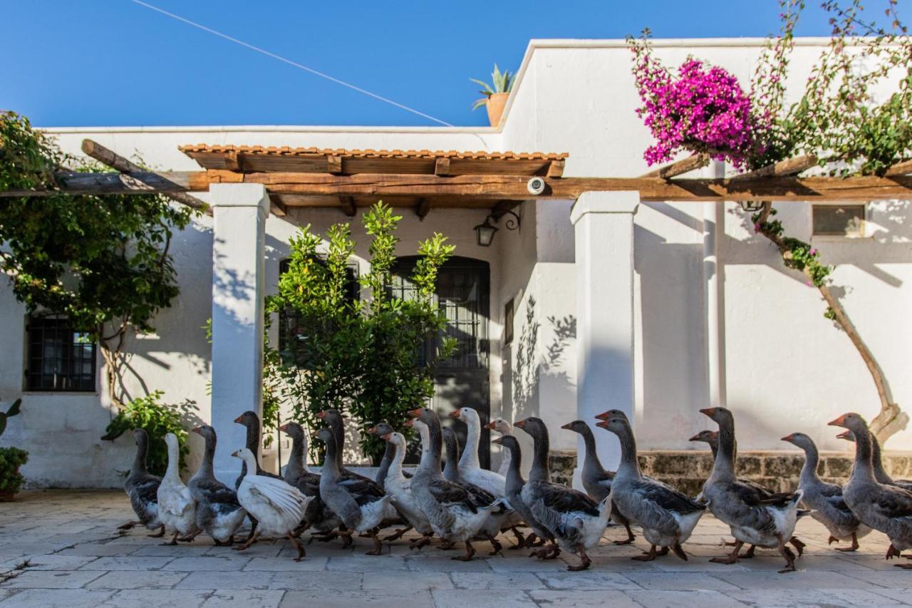 Masseria Parco Di Castro Montalbano  Buitenkant foto