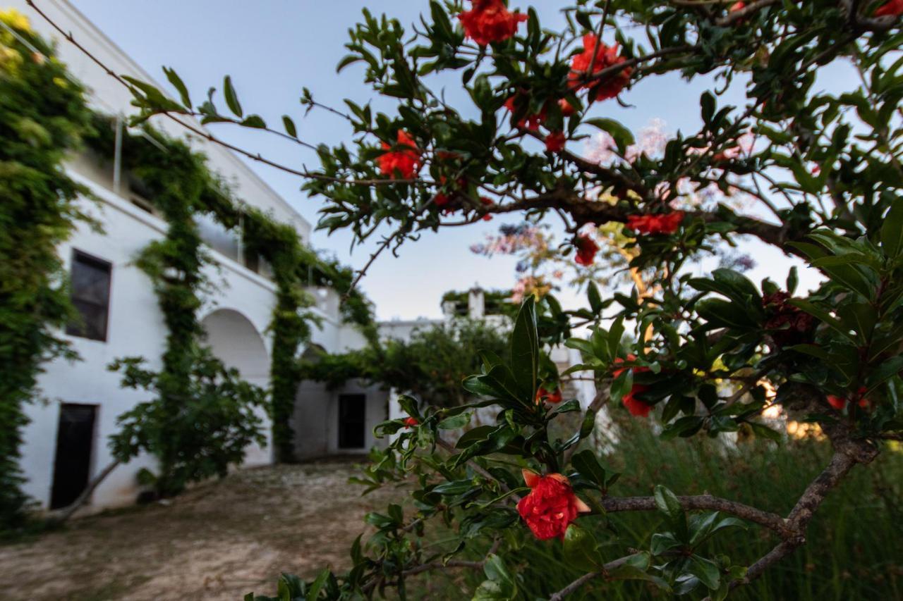 Masseria Parco Di Castro Montalbano  Buitenkant foto