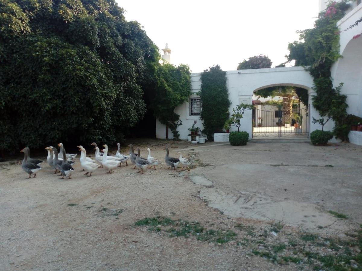 Masseria Parco Di Castro Montalbano  Buitenkant foto